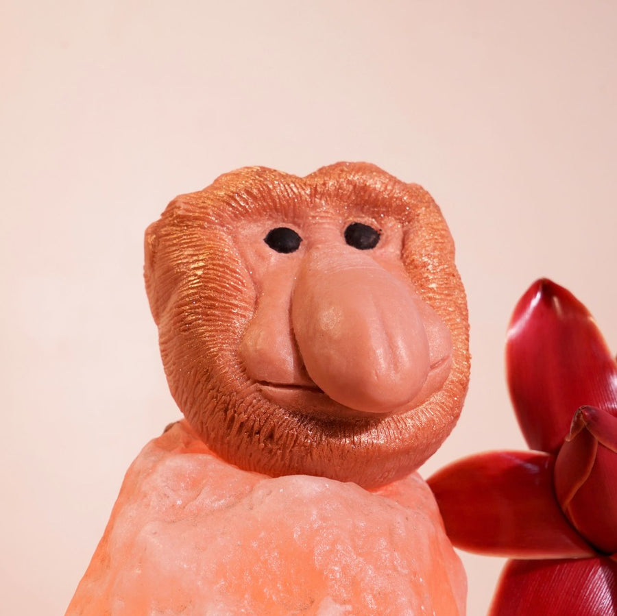 Jelita The Proboscis Monkey Soap