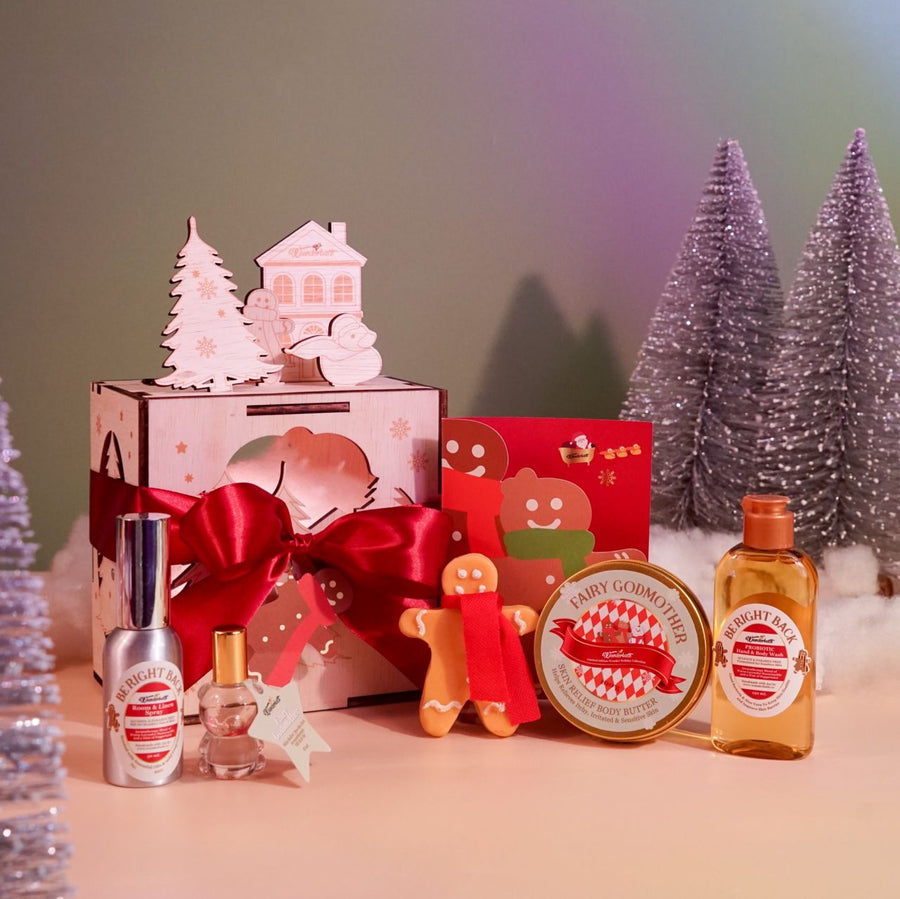 Fairy Wunder Town Interactive Gift Set