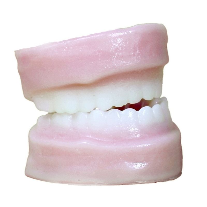 The Denture Soap