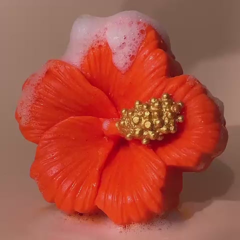 Hibiscus Bunga Raya Soap (Lexis Hibiscus X Wunderbath)