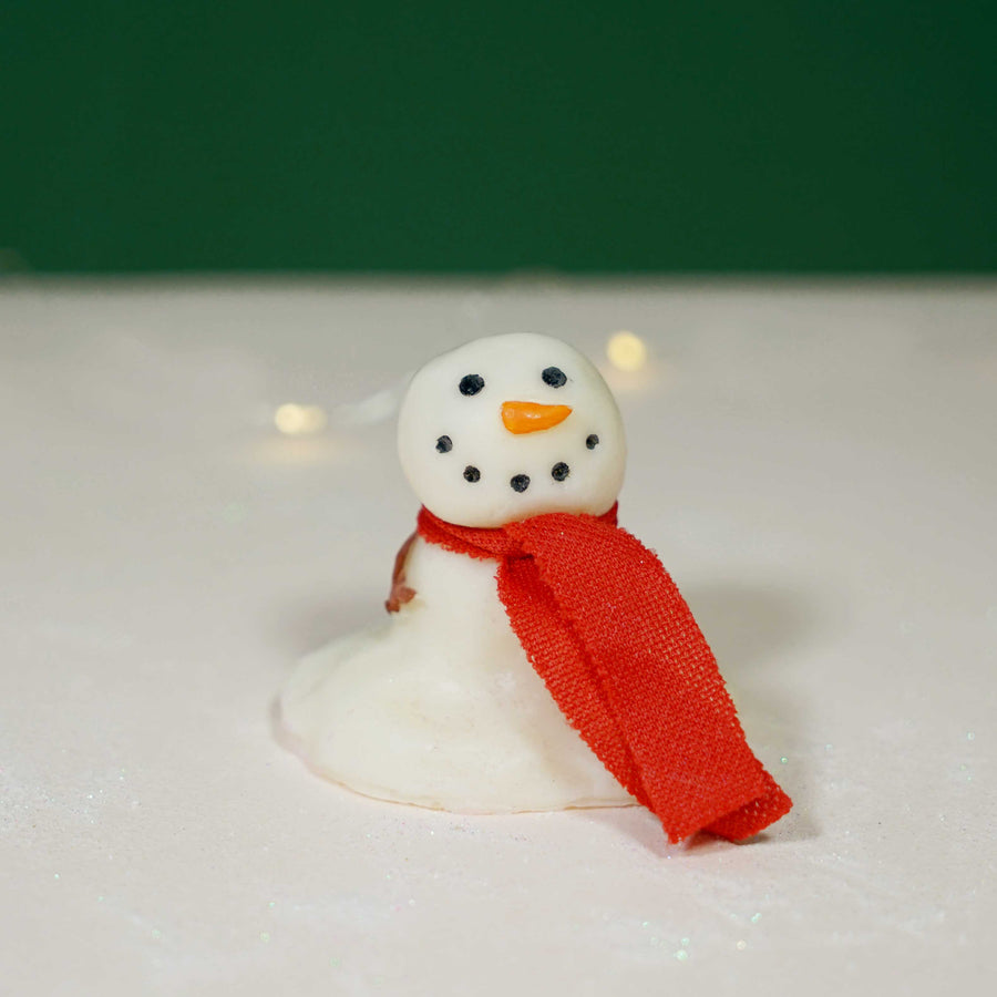 Frostie The Snowman Soap